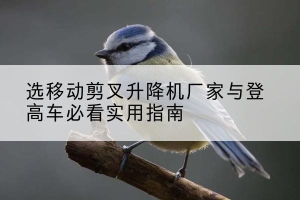 钦南电动升降机厂家-选移动剪叉升降机厂家与登高车必看实用指南