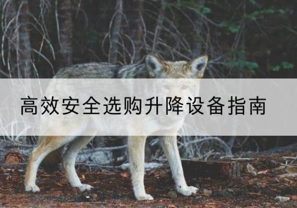 钦南升降货梯厂家推荐-*安全选购升降设备指南